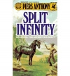 Купить книгу Piers Anthony - Split Infinity
