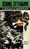 купить книгу Эттенборо, Дэвид - В тропики за животными