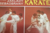 Купить книгу V. L. Levsky - Zaklady Sebaobrany Karate