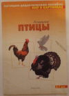 купить книгу Дорофеева, А. - Домашние птицы. Наглядно-дидактическое пособие. Для детей 3-7 лет (набор карточек)