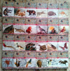 Купить книгу Брем, Альфред - Жизнь животных в 24 томах (полный комплект)