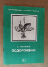 купить книгу Чистяков А. А. - Подорожник
