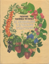 купить книгу Бородачева, Л.Д. - Рабочие таблицы по уходу за плодовыми и ягодными культурами