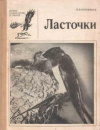 купить книгу Колоярцев, М.В. - Ласточки