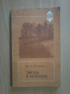 Купить книгу Кучуков П. А. - Звезда в колодце