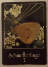 Купить книгу [автор не указан] - schmetterlinge 2 Бабочки 12 открыток