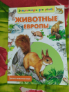 Купить книгу Рублев С. - Животные Европы
