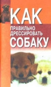 купить книгу Беляев - Как правильно дрессировать собаку