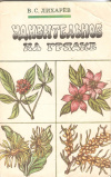 купить книгу Лихарев В. с. - Удивительное на грядке
