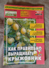 Купить книгу Поздняков А. Д. - Как правильно выращивать крыжовник: Научно - популярное издание Купить книгу Поздняков А. Д. - Как правильно выращивать крыжовник: Научно - популярное издание