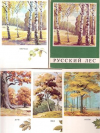 купить книгу Никиточкина, Т. - Русский лес: 16 открыток