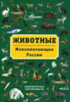 Купить книгу Бабенко, Владимир - Животные. Млекопитающие России
