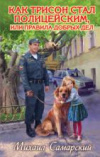 купить книгу Самарский, Михаил - Как Трисон стал полицейским, или Правила добрых дел
