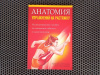 Купить книгу Арнольд Нельсон, Юко Кокконен - Анатомия упражнений на растяжку