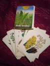 Купить книгу Сост. Теплов Д. - Набор открыток&quot; Юному ботанику &quot;. 32 открытки