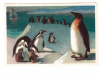Купить книгу Аристов, Л. - Пингвины: Открытка