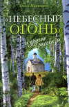 Купить книгу Николаева, Олеся - &quot;Небесный огонь&quot; и другие рассказы