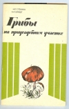 купить книгу Стенина Н. П., Шмидт А. А. - Грибы на приусадебном участке.