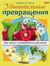 Купить книгу Султанова М. - Удивительные превращения Как живут и развиваются растения