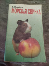 купить книгу Михайлов В. А. - Морская свинка