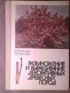 купить книгу Климович, В.И. - Размножение и выращивание декоративных древесных пород