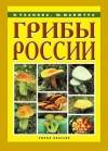 Купить книгу Уханова, И.; Манжура, Ю. - Грибы России